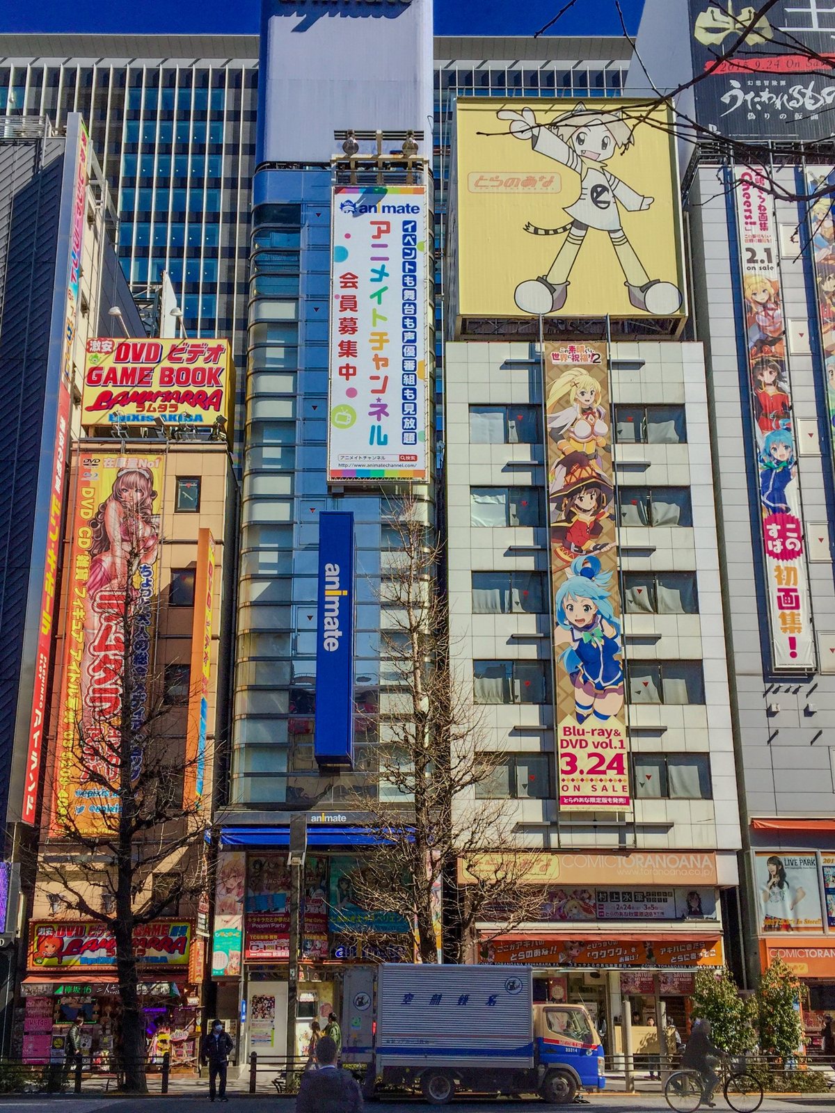 Hochhausfassaden in Akihabara mit großen Anime-Bannern und dem Schriftzug animate