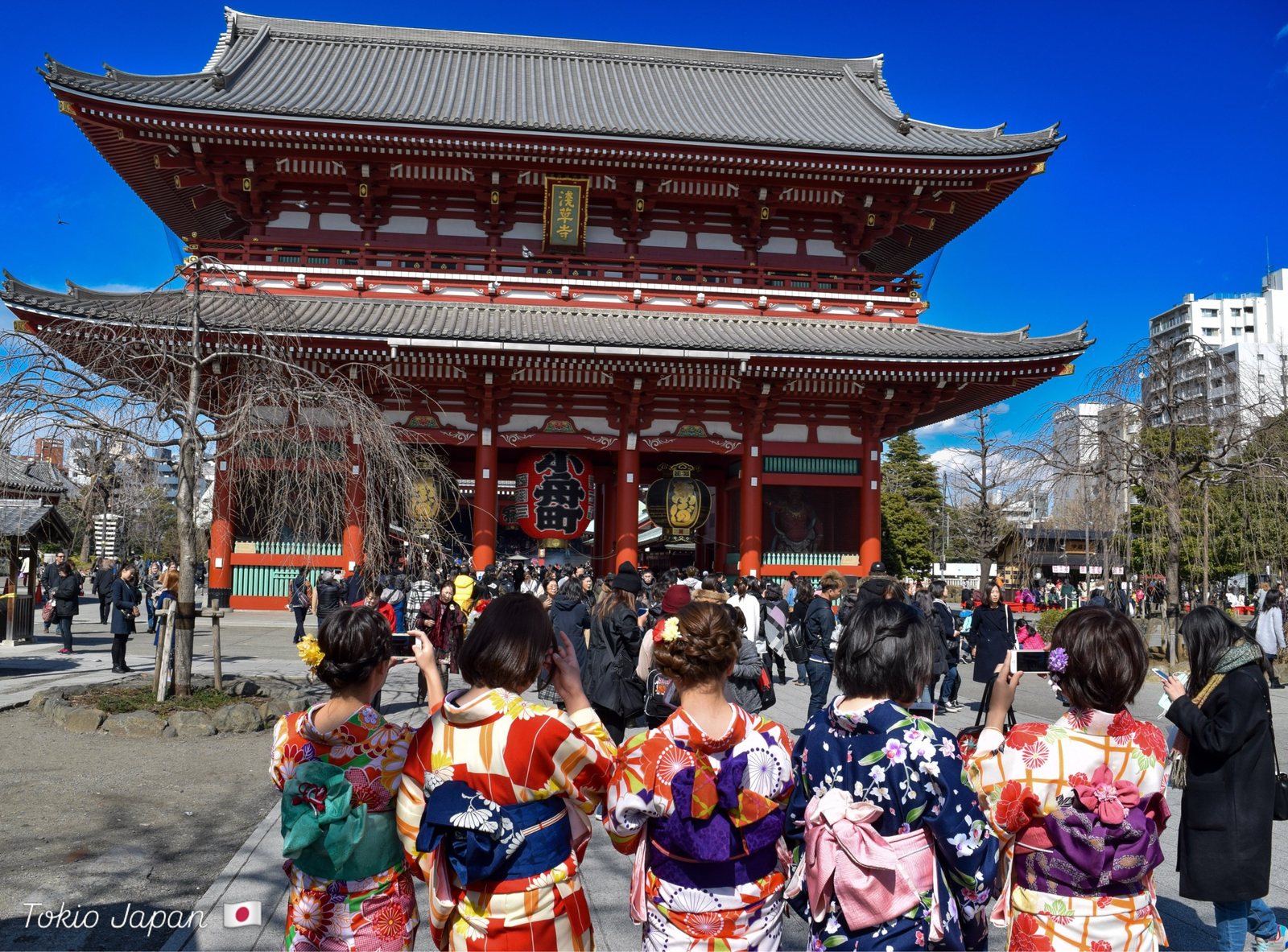 Frauen in bunten Kimonos von hinten vor dem roten Hōzōmon-Tor des Sensō-ji in Asakusa