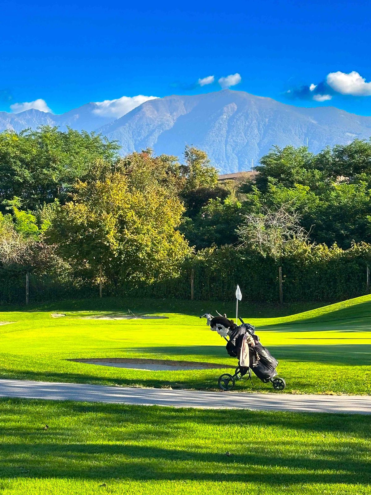 Golfbag auf dem Golfplatz von Ascona, dahinter Grün, Fahne und Tessiner Berge