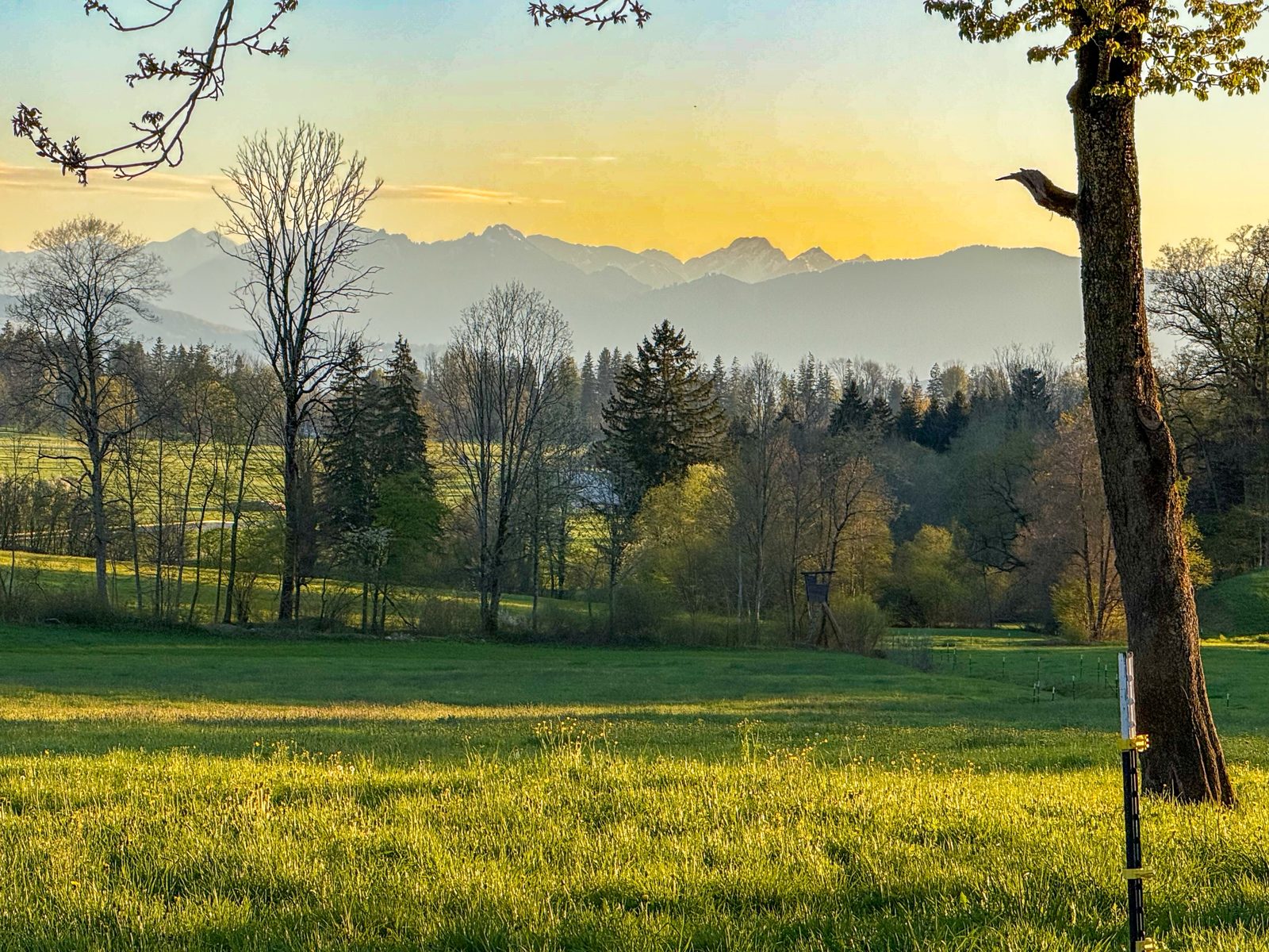 Voralpenpanorama im Abendlicht bei Bad Heilbrunn