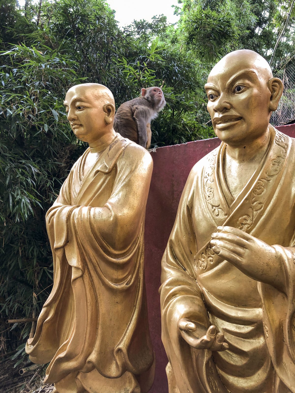Zwei goldene Arhat-Statuen im Kloster der Zehntausend Buddhas in Sha Tin, dazwischen sitzt ein wilder Affe