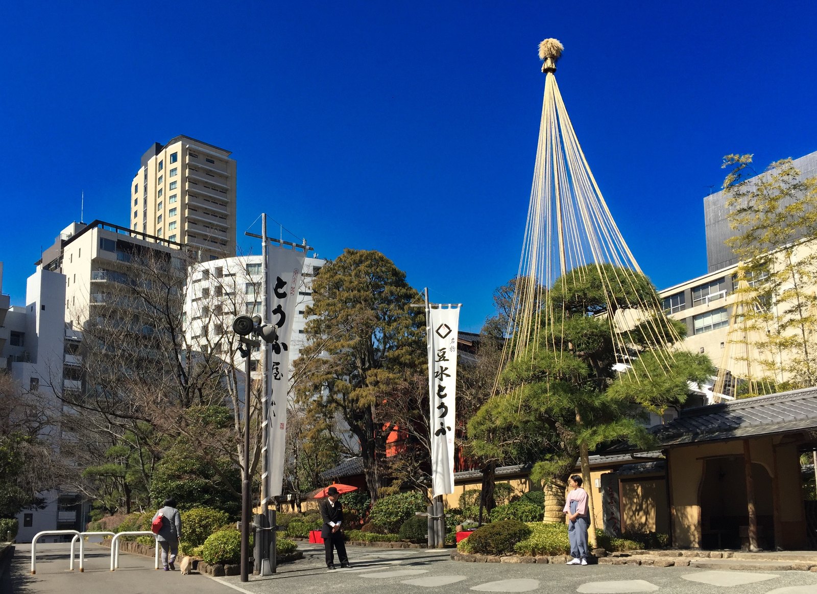 Kiefernbaum mit Yukizuri-Schneeschutz-Seilen vor dem Restaurant Tofuya Ukai, im Hintergrund das Hotel Azabu East